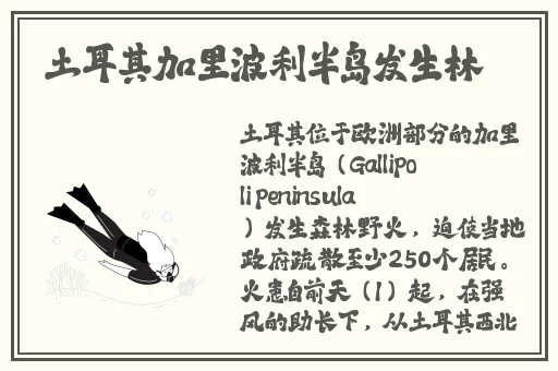 狂野少女完整版电影免费观看